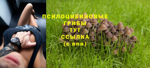 прущий лед Арсеньев