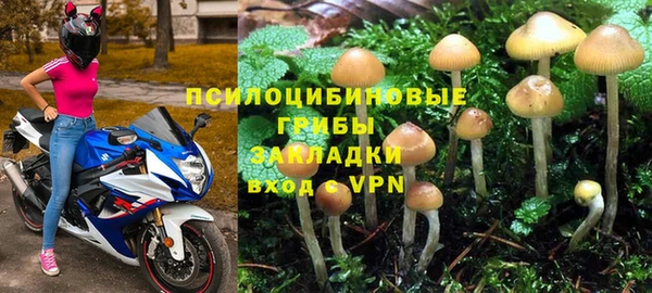 мяу мяу мука Аркадак